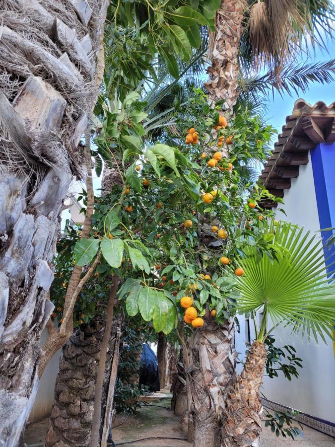 Apartament Dudek Torrevieja Extérieur photo